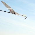 Maxa F5J electric glider 16